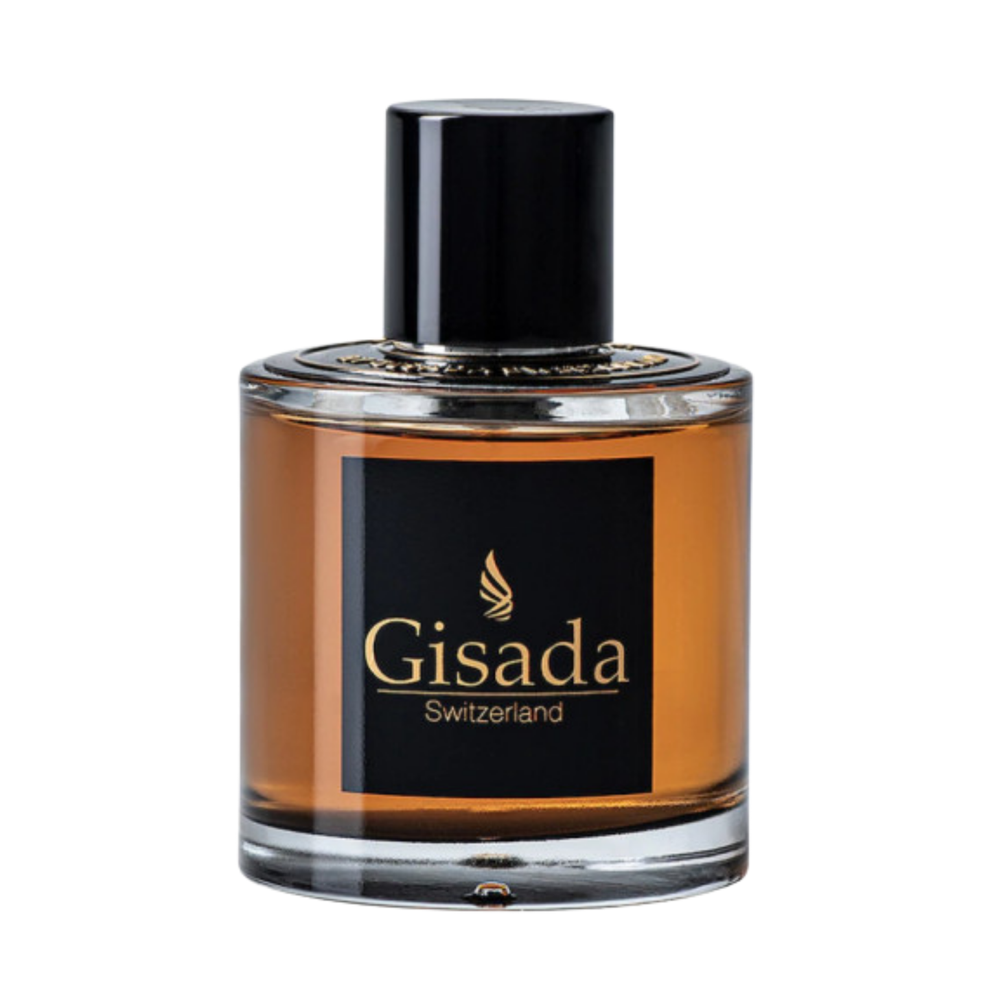 Gisada Ambassador